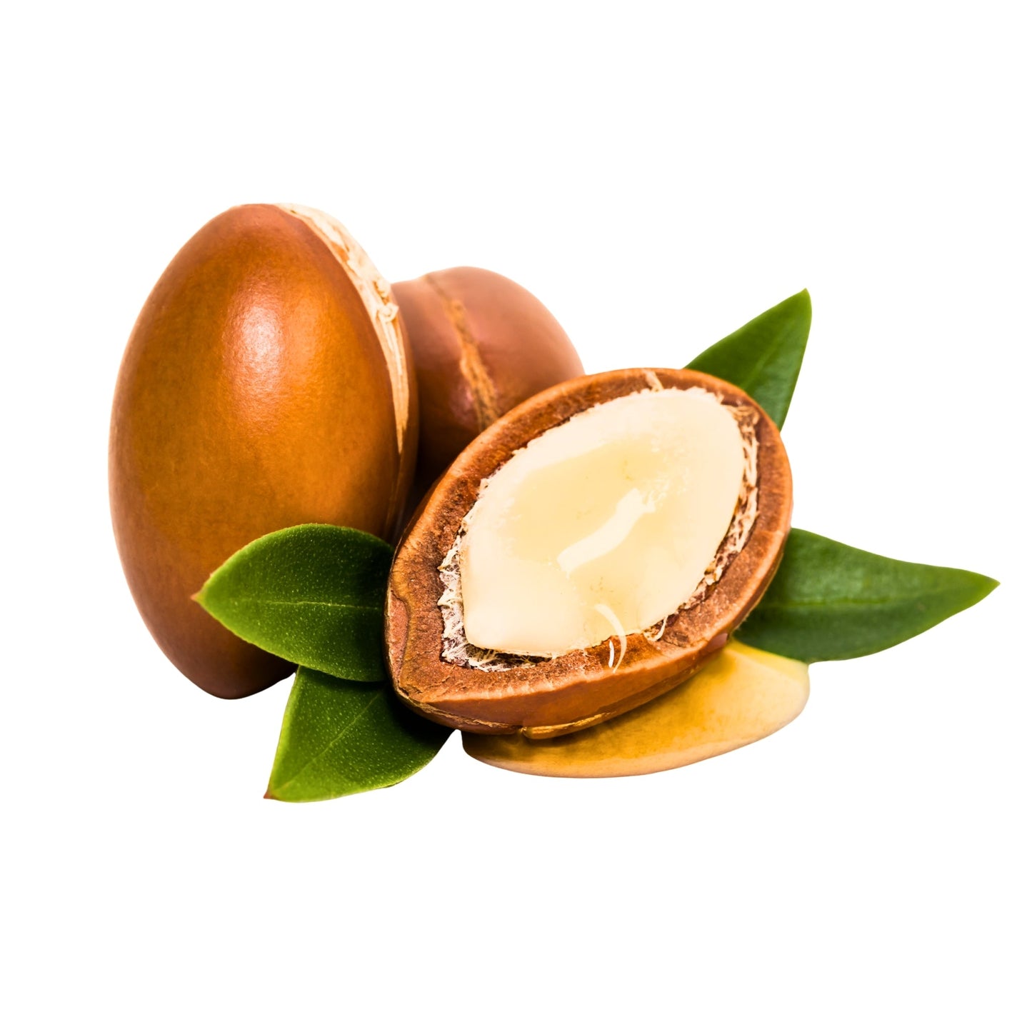 Argan nuts with oil and green leaves isolated on white background