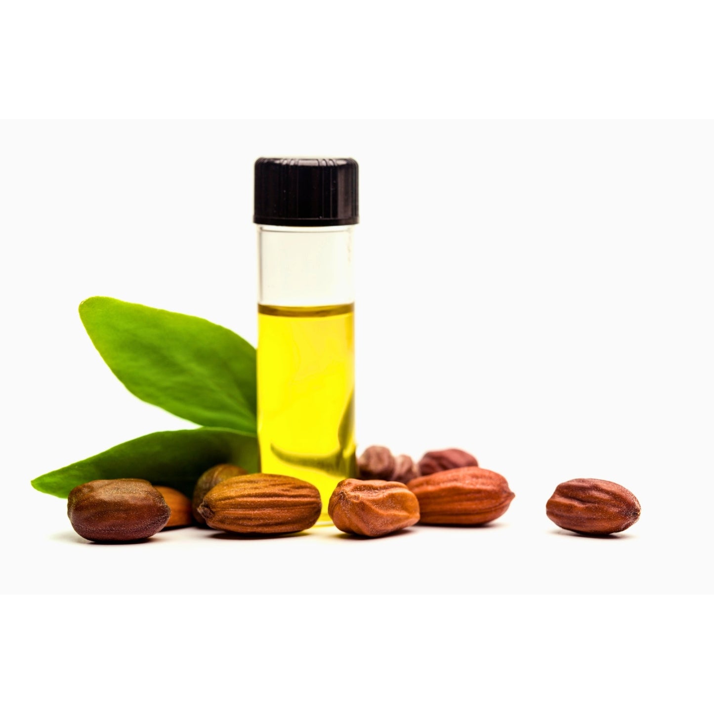 bottle of pure jojoba oil with jojoba seeds and green leaves on white background