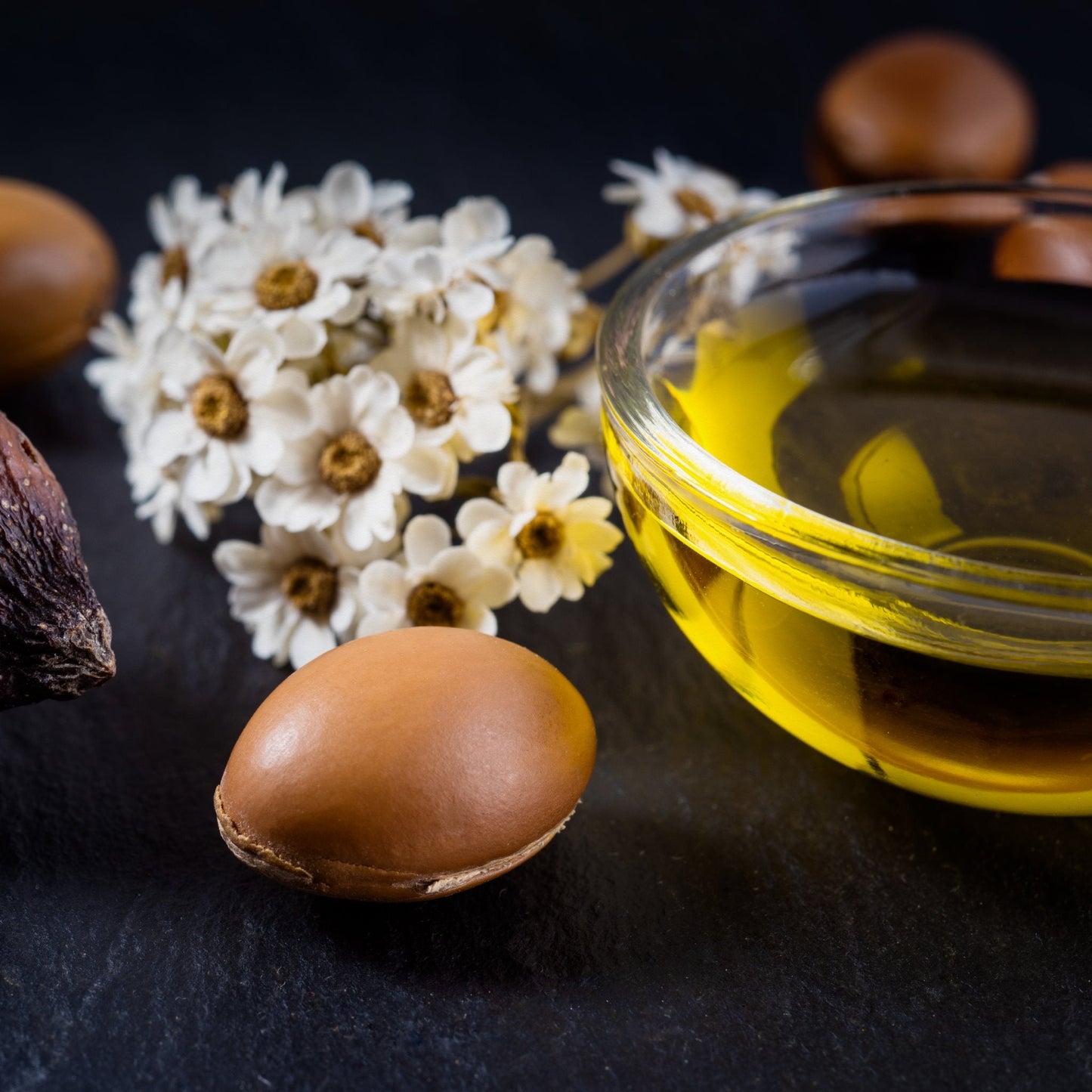 Close-up of pure argan oil in glass bowl with argan nuts and white flowers on dark surface