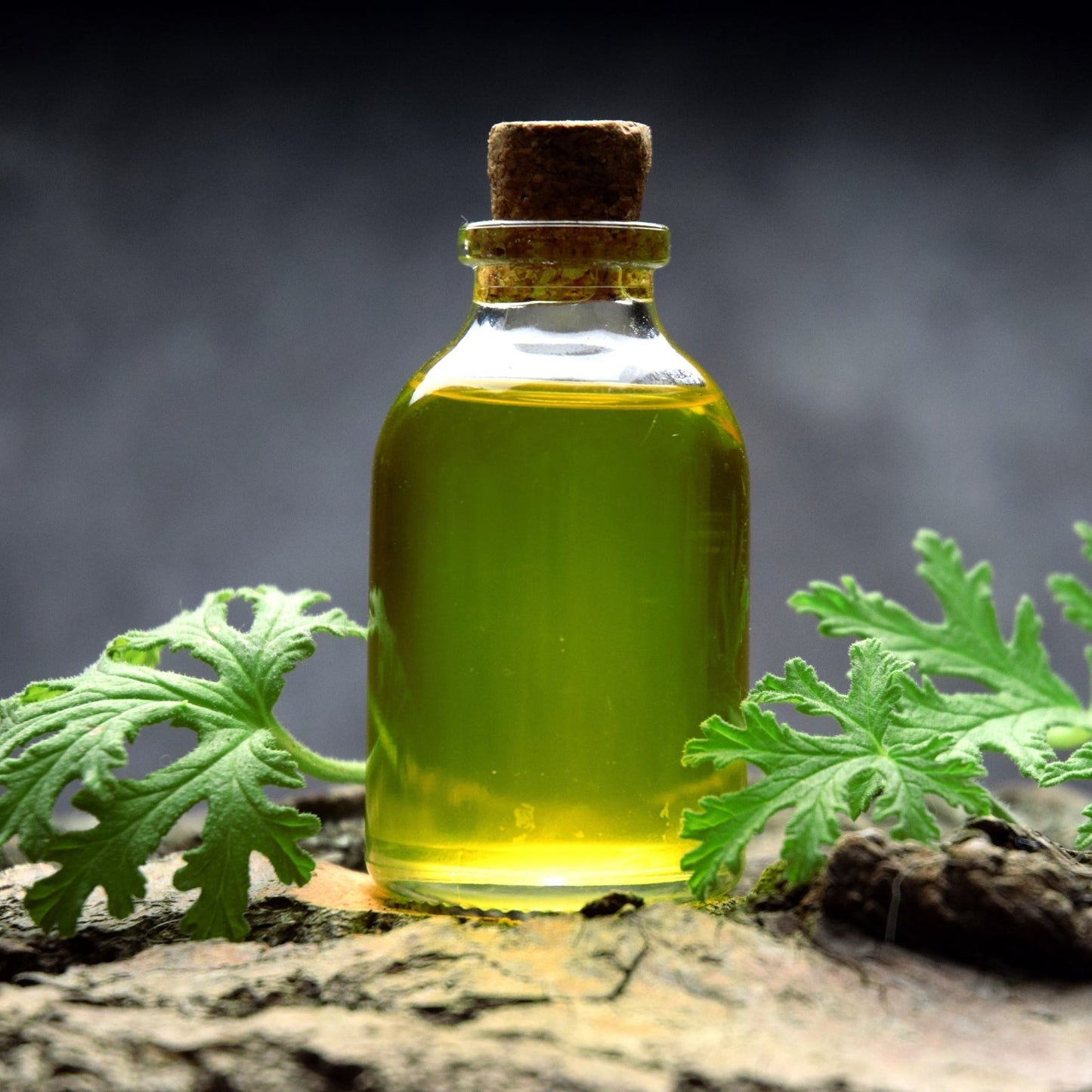 DIY Citronella Bug Spray Recipe