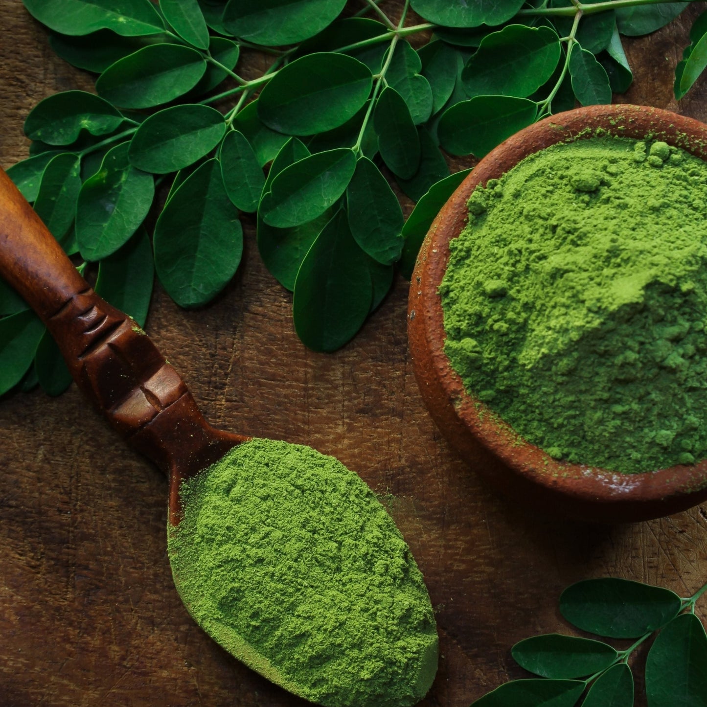 Moringa - The Miracle Tree