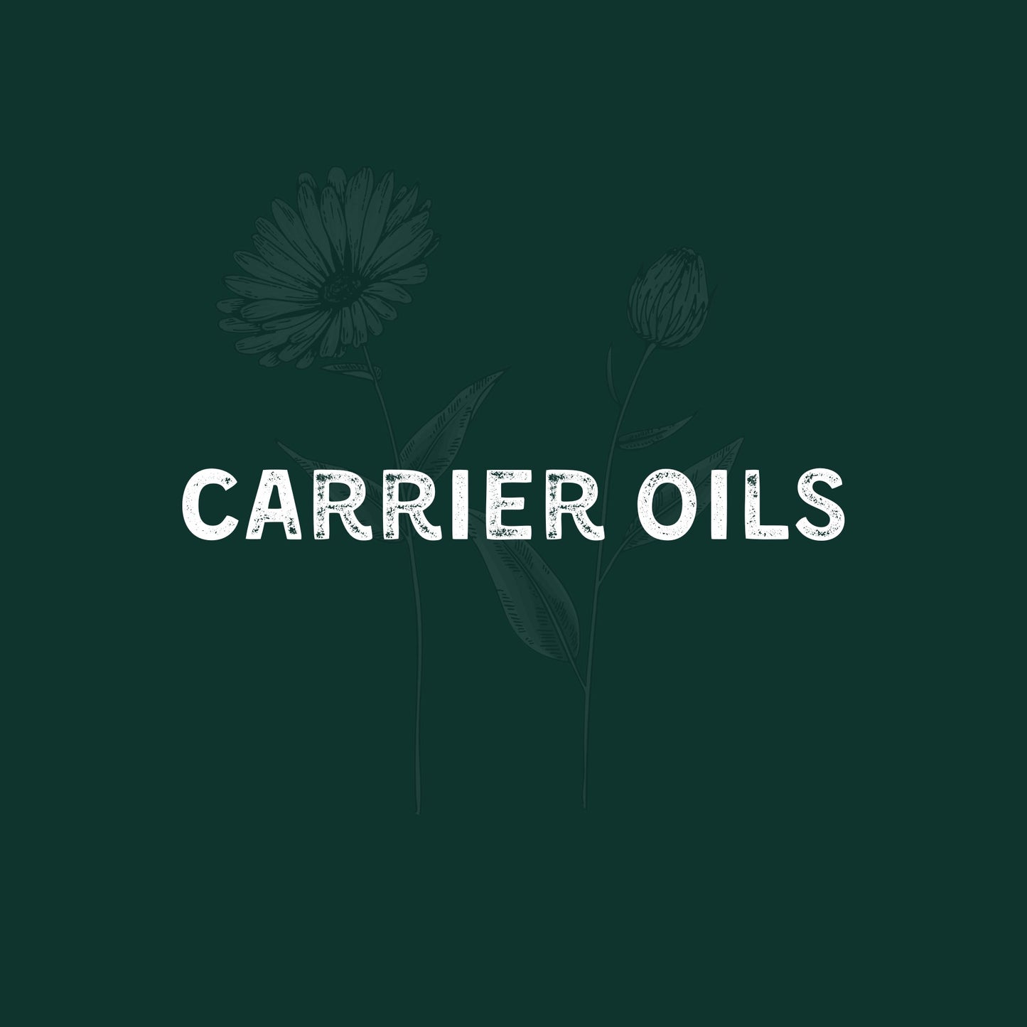 Pure Carrier Oils in Egypt