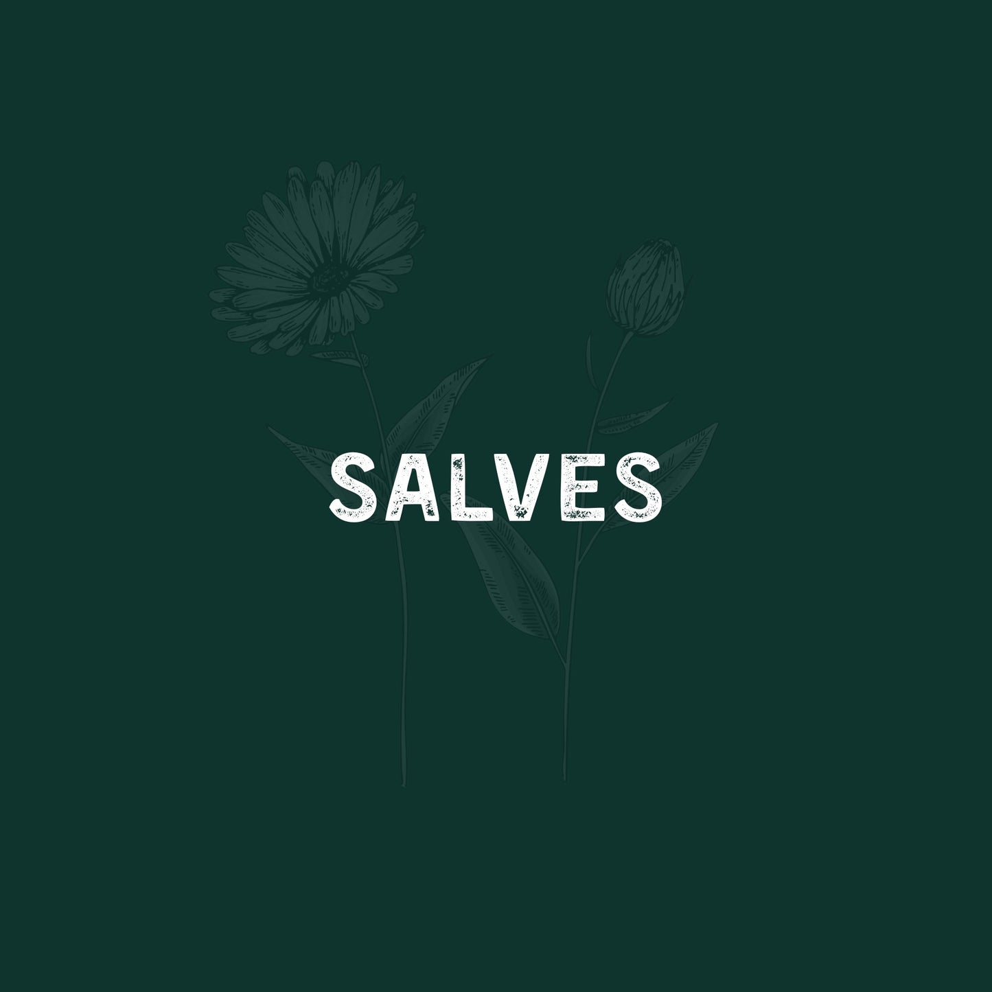 Herbal Salves in Egypt