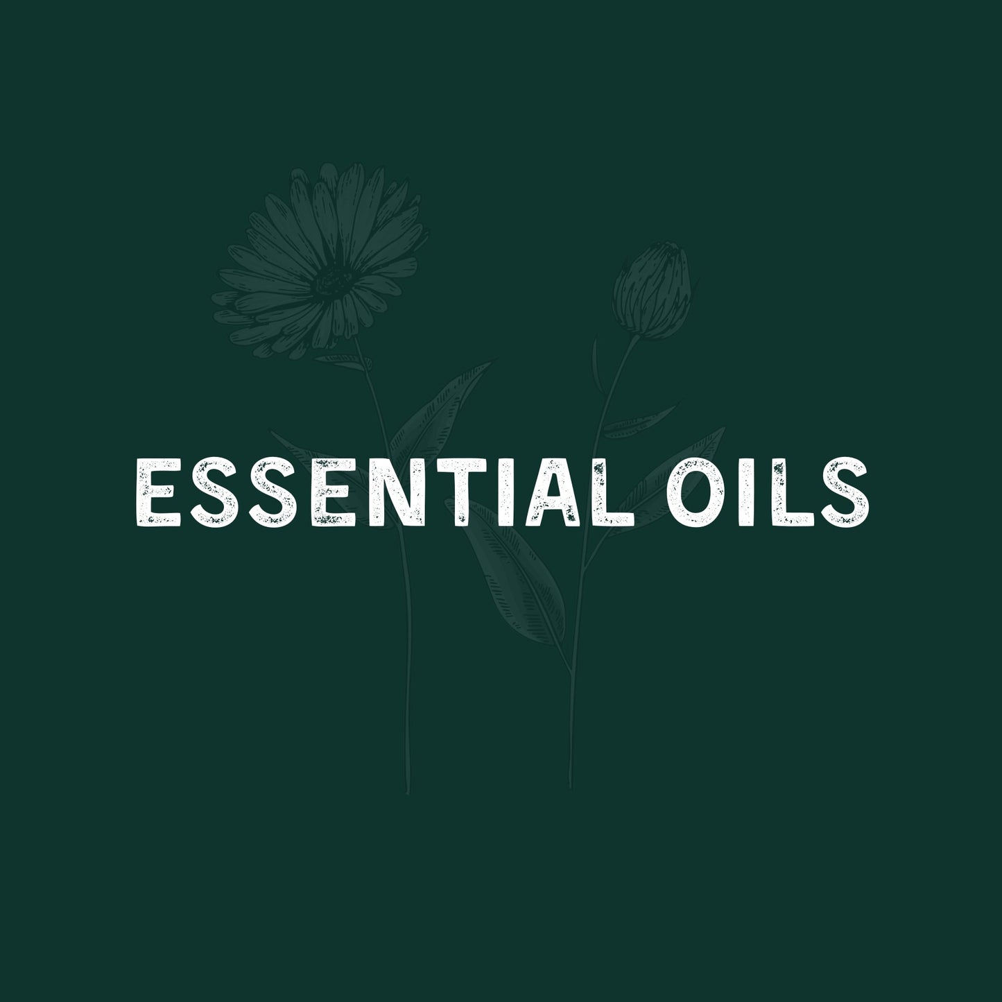 Pure Essential Oils in Egypt