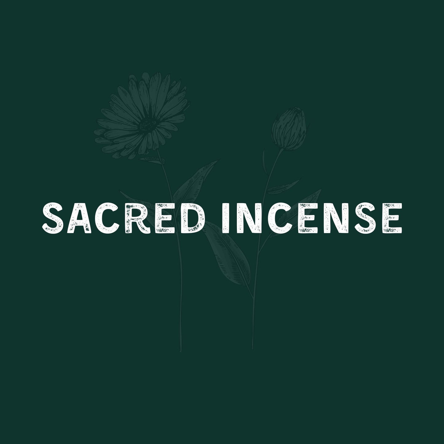 Frankincense Incense in Egypt