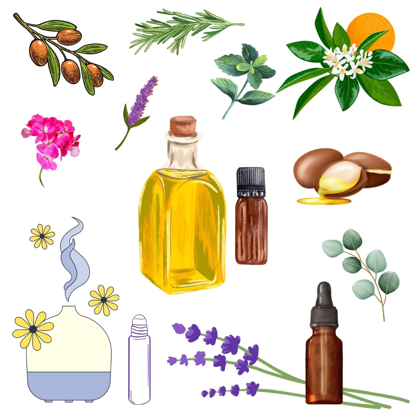 Aromatherapy / OILS