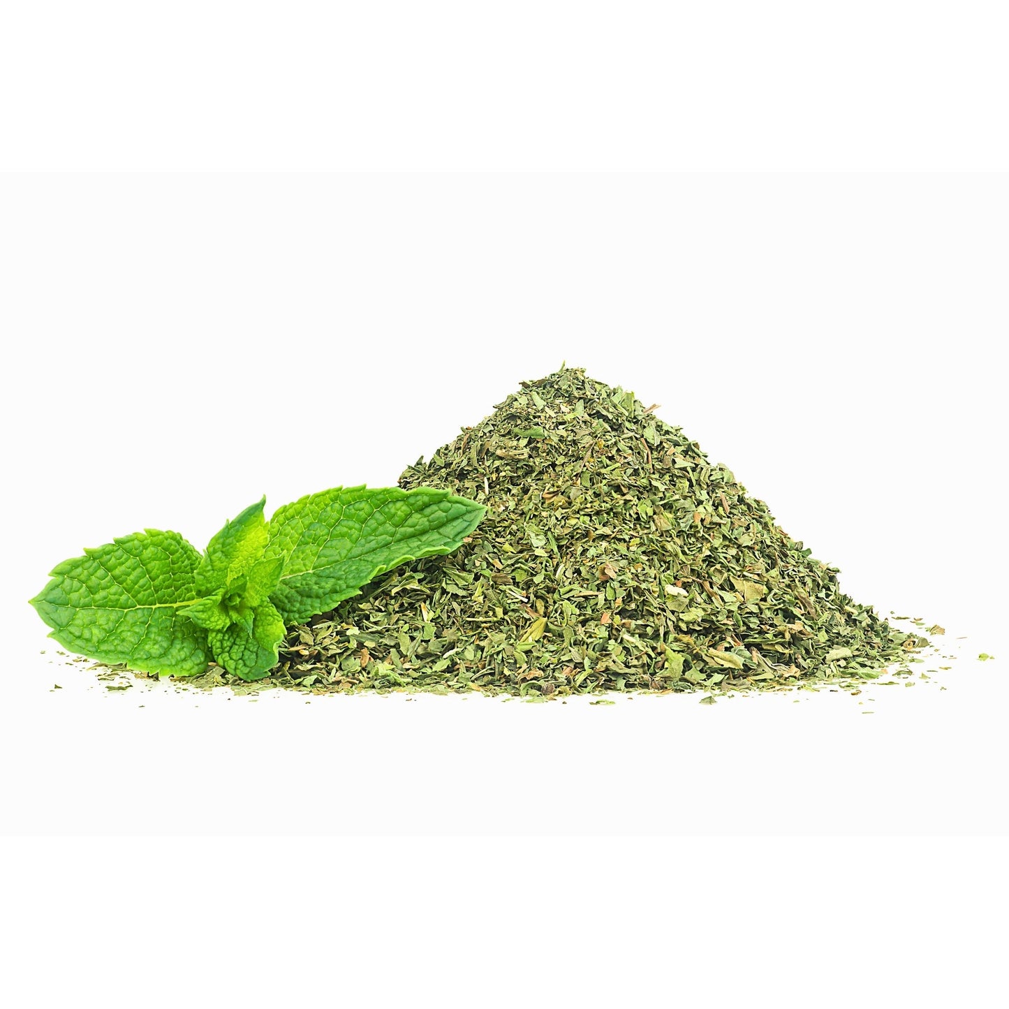 organic spearmint leaf pile with fresh green spearmint sprig on white background