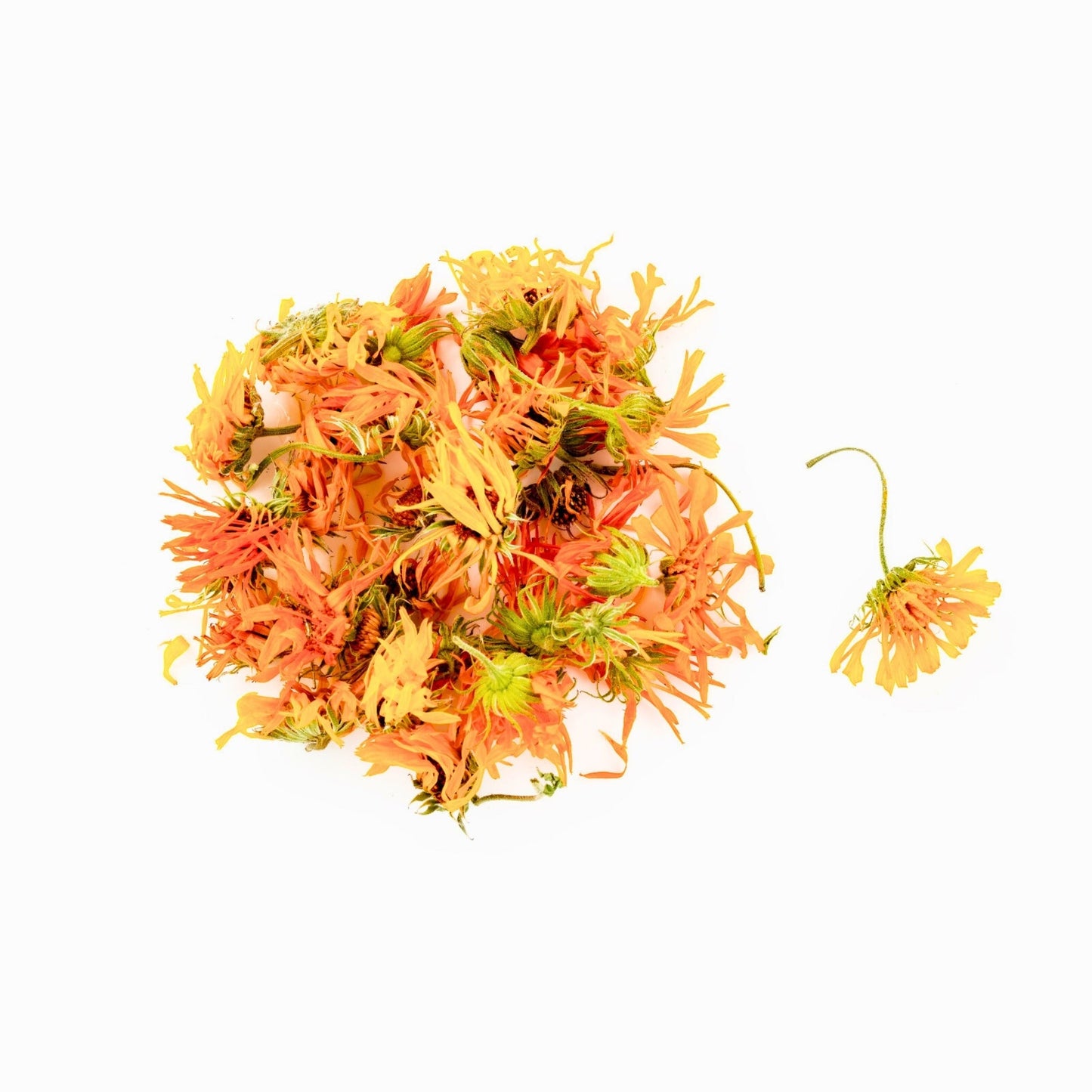 Organic calendula flowers with vibrant orange petals for herbal remedies and skin care.