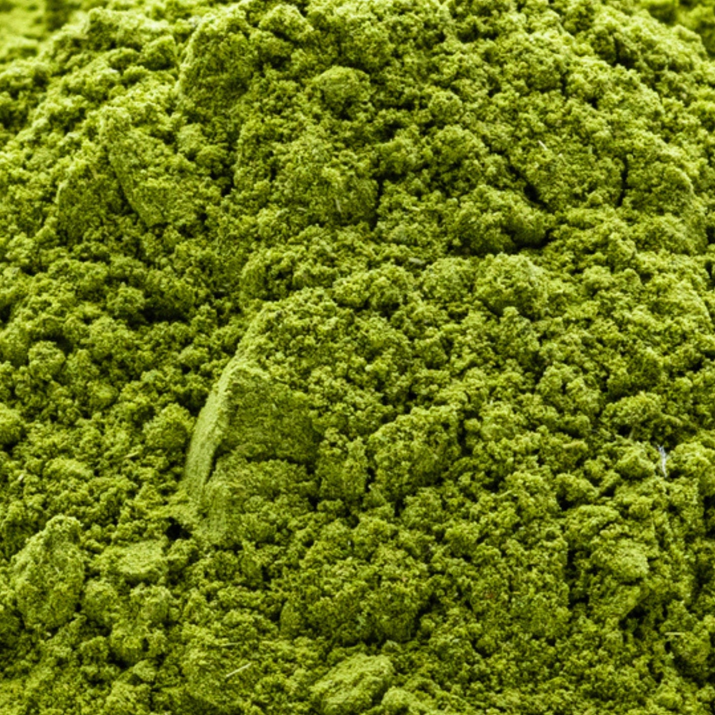 Close-up of vibrant green Egyptian moringa leaf powder, finely milled and nutrient-dense.
