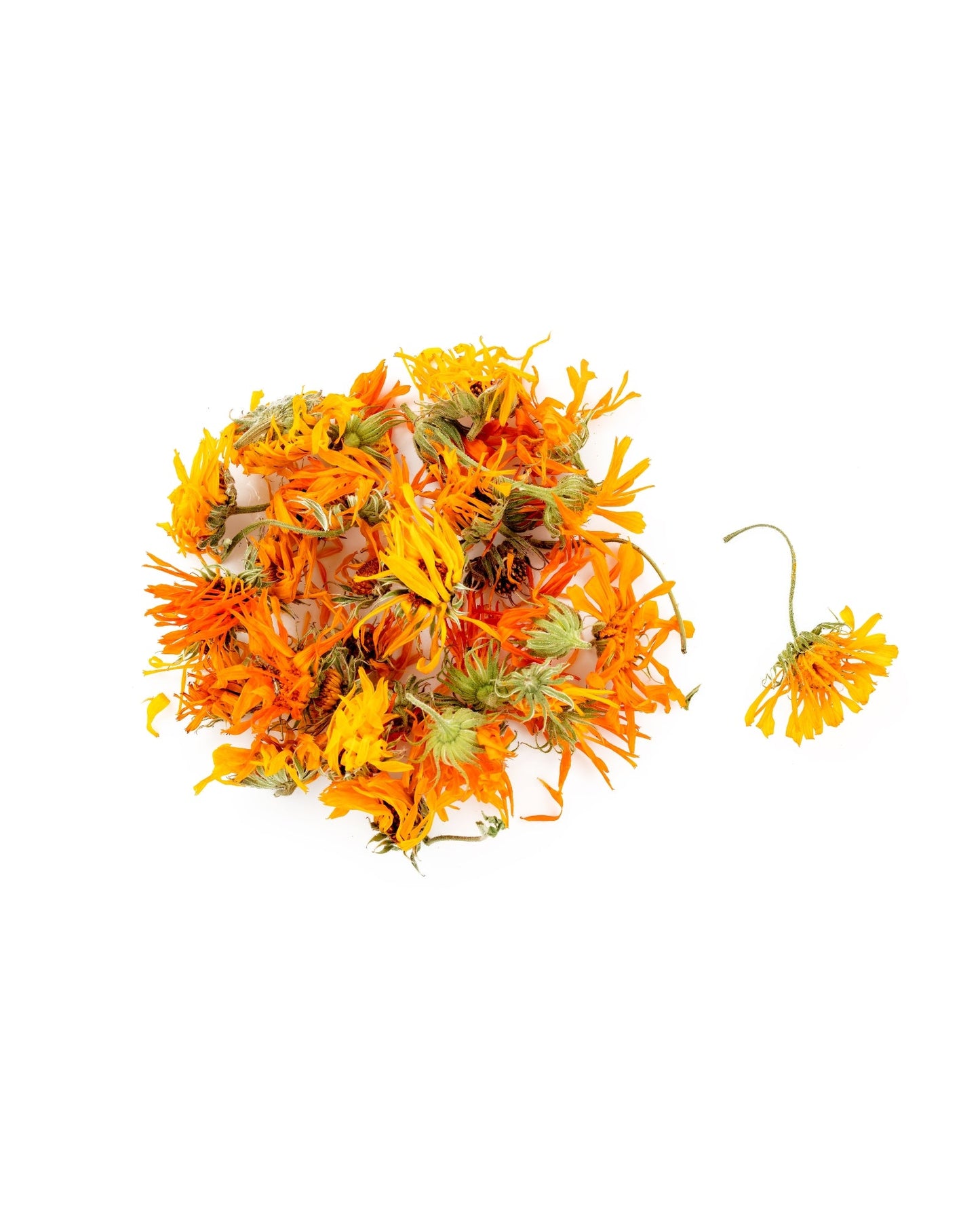 Pile of organic dried calendula flowers isolated on white background