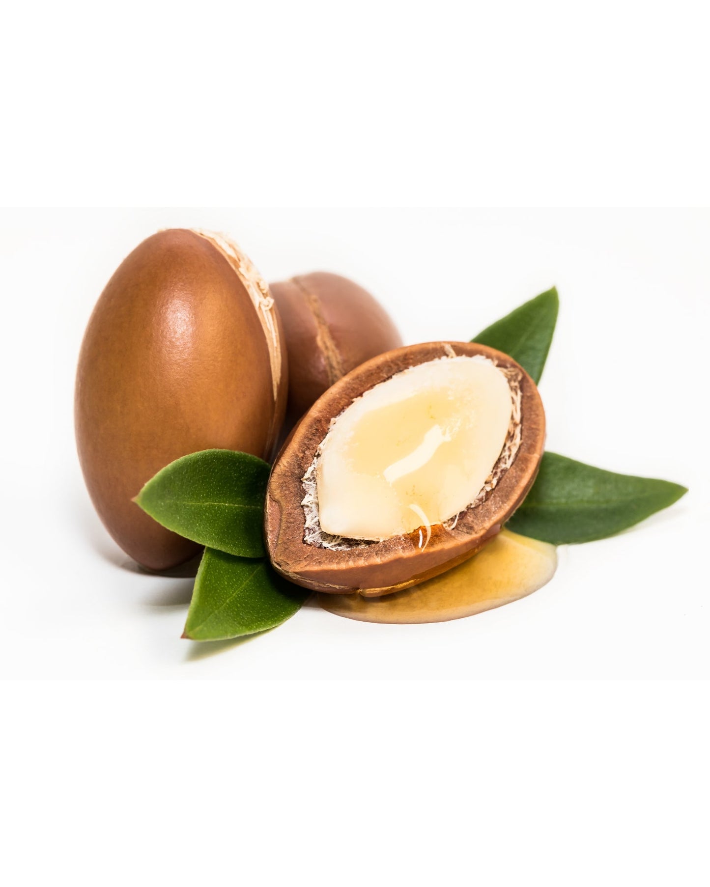 Cold-pressed Moroccan argan oil extracted from argan nuts with green leaves isolated on white background