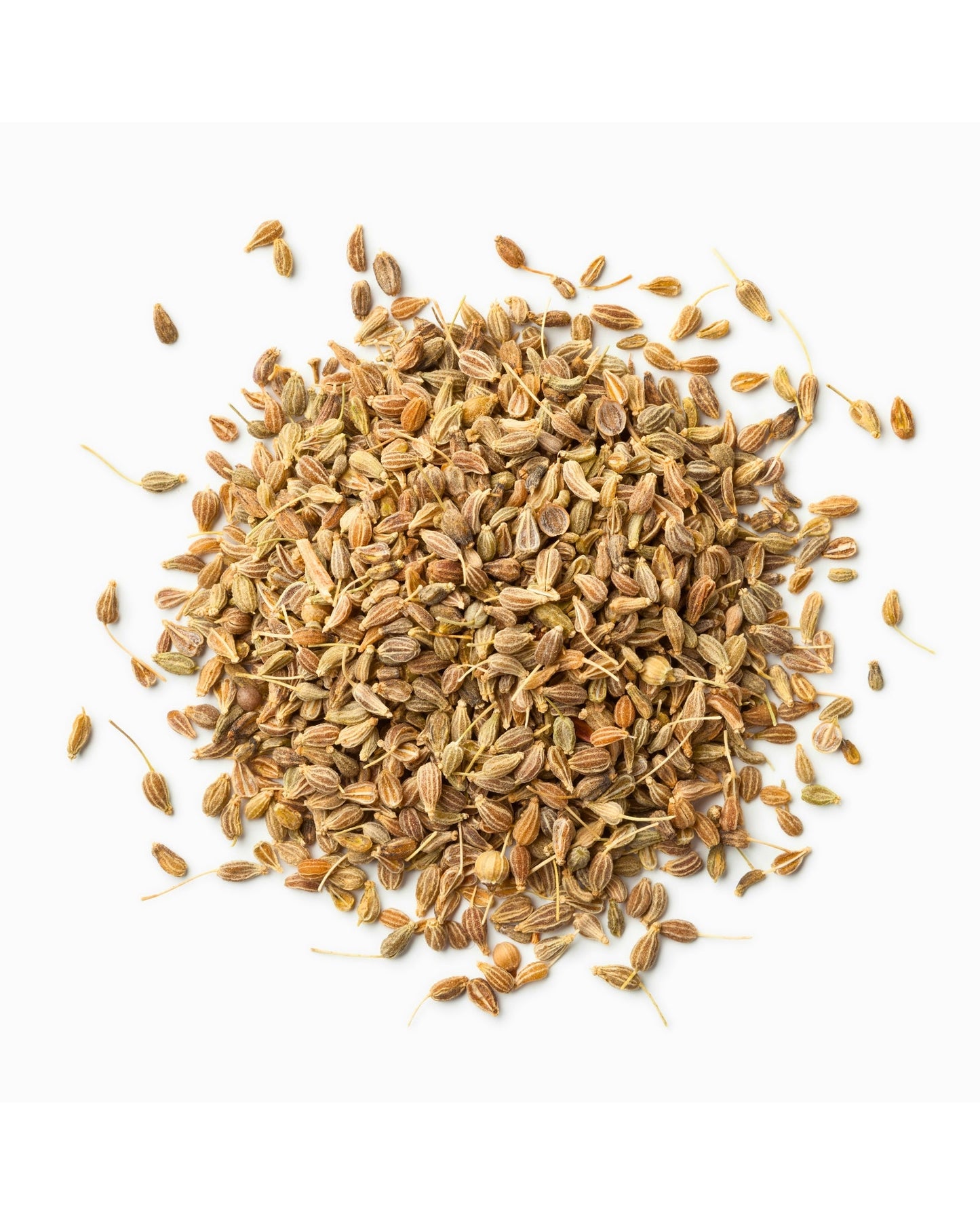 Organic anise seeds for herbal anise seed tea with licorice flavor from Egypt